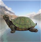 TRD30742 All who wander Turtle